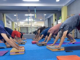 کلاس مقدماتی یوگا