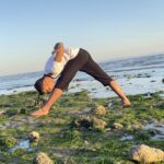 یوگا مکمل همه وزشها