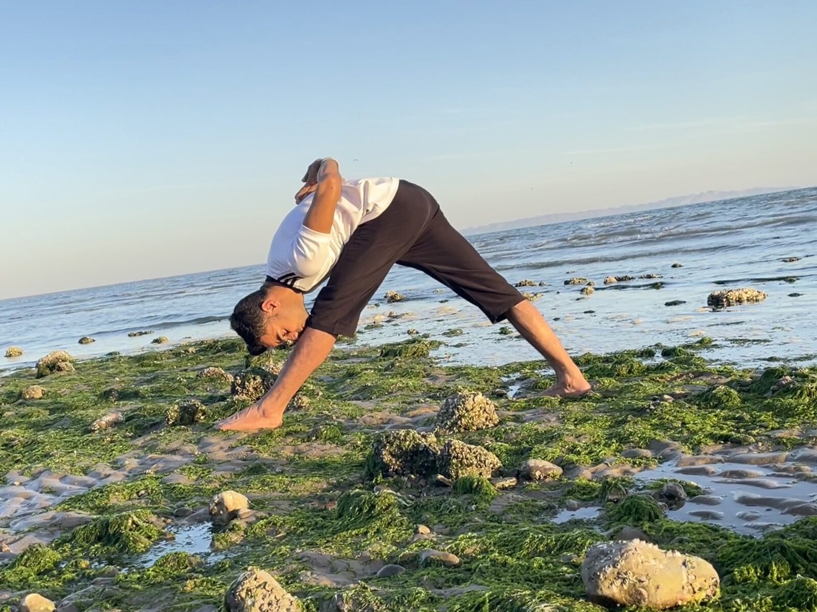 یوگا مکمل همه وزشها