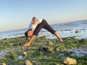 یوگا مکمل همه وزشها