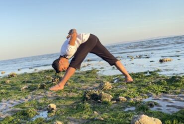 یوگا مکمل همه وزشها