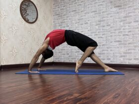 یوگا مکمل ورزشها